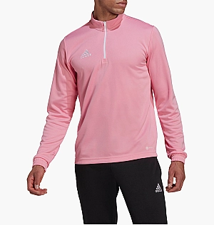 Кофта Adidas Long-Sleeve T-Shirt Ent22 Tr Top Pink HC5048