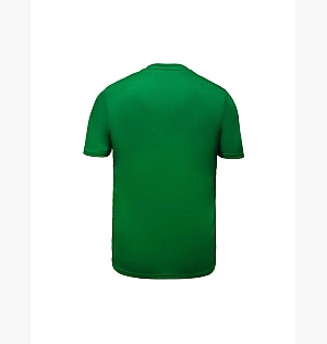 Футболка Nike M Nk Df Park20 Top Ss Green Bv6883-302