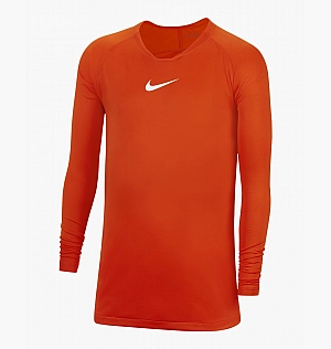 Термобілизна Nike Y Nk Df Park 1Stlyr Jsy Ls Orange Av2611-819