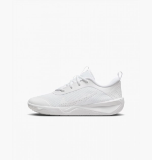 Кросівки Nike Omni Multi-Court White Dm9027-100