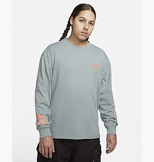 Лонгслив Nike Acg Long-Sleeve T-Shirt Grey FB8444-330