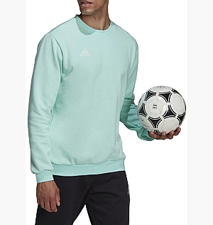 Світшот Adidas Sweatshirt Ent22 Sw Top Turquoise HC5047