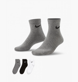 Шкарпетки Nike Everyday Ltwt Ankle Multi SX7677-964