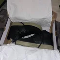 Кроссовки мужские Nike Lunar Force 1 Duckboot - Black DZ5320-001