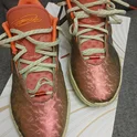 Кроссовки унисекс Nike Lebron Xxi Queen Conch Basketball Shoes Bordo FN0708-800