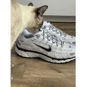 Кроссовки мужские Nike P-6000 White/Metallic CD6404-107
