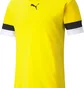 Футболка мужская Puma Teamrise Jersey Yellow 704932-07