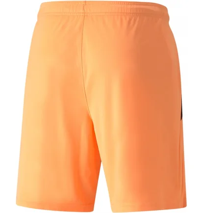 Шорти чоловічі Puma Teamliga Shorts Orange 704924-21