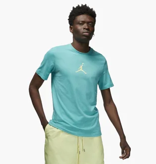 Футболка чоловіча Air Jordan Jumpman Turquoise Cw5190-392