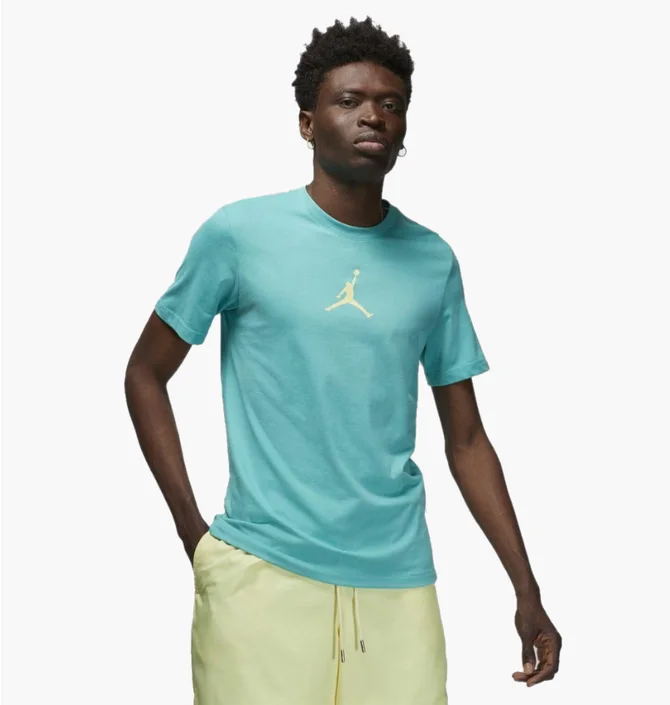 Футболка чоловіча Air Jordan Jumpman Turquoise Cw5190-392