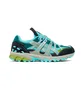 Кроссовки мужские Asics Hs4-S Gel-Sonoma 15-50 Gtx Multi 1201A440-301