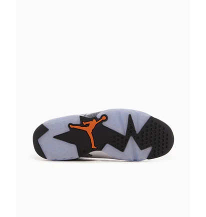 Кросівки чоловічі Air Jordan X Psg 6 Retro Low Light Bone Grey/Violet DZ4133-008
