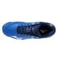 Кросівки чоловічі Mizuno Wave Momentum 3 Mid Blue V1GA231701