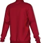 Олімпійка чоловіча Adidas Tiro19 Training Jacket Red D95953