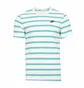 Футболка мужская Nike Club Stripe Tee White DZ2985-094