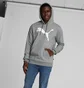 Худи мужское Puma Big Cat Logo Grey 672712-03