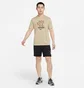 Футболка мужская Nike Dri Fit Just Do It Beige DR7573-250