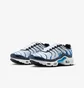 Кросівки дитячі Nike Air Max Plus Grey/Blue CD0609-409