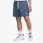 Шорты мужские Nike Club Fleece French Terry Flow Shorts Blue DX0731-491