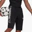 Шорты мужские Adidas Shorts Con21 1/2 Pnt Black GH7144