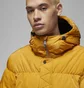 Парка чоловіча Air Jordan Stmt Parka Yellow Dq7346-712