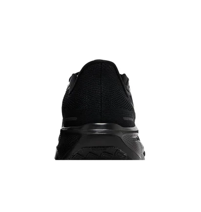 Кроссовки мужские Nike Air Zoom Pegasus 41 Black FD2722-001