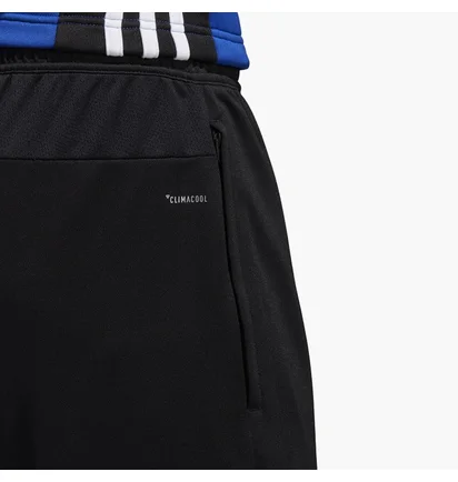 Штаны мужские Adidas Regista 18 Black CZ8657