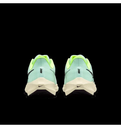 Кроссовки мужские Nike Air Zoom Pegasus 39 Light Blue Dh4071-301