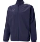 Олимпийка мужская Puma Teamliga Sideline Jacket Blue 657259-06