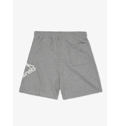 Шорти чоловічі Manto Shorts Logo Grey 3461