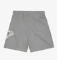 Шорти чоловічі Manto Shorts Logo Grey 3461