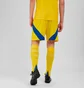 Шорты мужские Adidas Ukraine 24 Yellow IK2248