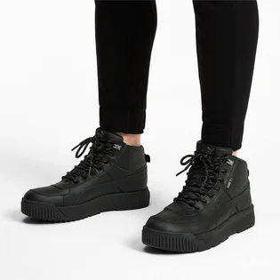 Кросівки чоловічі Puma Tarrenz SB Puretex Black 370552-01