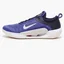 Кроссовки мужские Nike Court Zoom Nxt Hc Violet DH0219-400