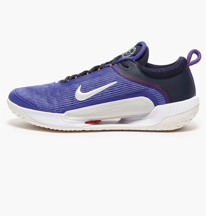 Кроссовки мужские Nike Court Zoom Nxt Hc Violet DH0219-400