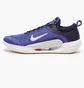 Кроссовки мужские Nike Court Zoom Nxt Hc Violet DH0219-400