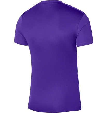 Футболка мужская Nike Jersey M Nk Df Prcsn Vi Jsy Ss Violet/Light Blue DR0944-547