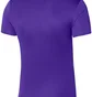 Футболка мужская Nike Jersey M Nk Df Prcsn Vi Jsy Ss Violet/Light Blue DR0944-547