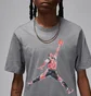 Футболка мужская Air Jordan M J Brand Grey FN5980-091