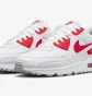 Кросівки чоловічі Nike Air Max 90 White DX8966-100