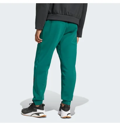 Штаны мужские Adidas Z.N.E. Tracksuit Bottoms Green JF6387