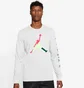 Лонгслив мужской Air Jordan Sport Dna Long-Sleeve Crew White Cn3502-101