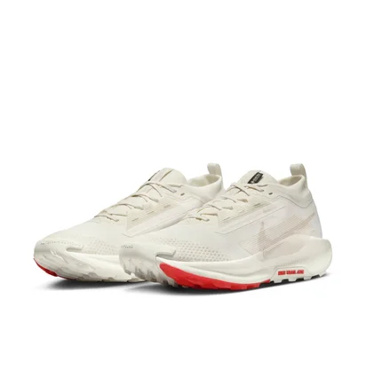 Кросівки чоловічі Nike Pegasus Trail 5 Gore-Tex Beige FQ0908-100