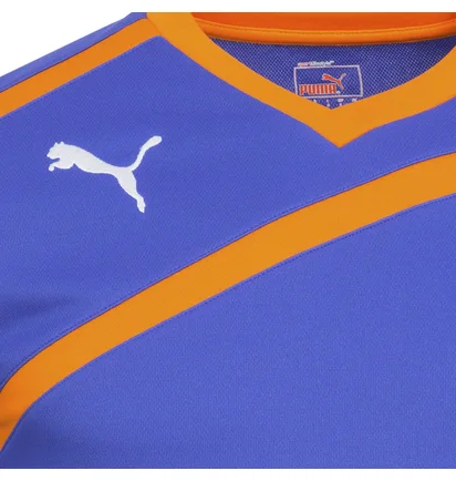 Лонгслив мужской Puma Goalkeeper Jersey Blue 701064-37