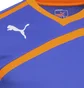 Лонгслив мужской Puma Goalkeeper Jersey Blue 701064-37