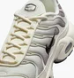 Кросівки чоловічі Nike Air Max Plus Beige DM0032-106