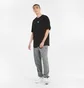 Штаны мужские Puma Classics Grey 532139-03