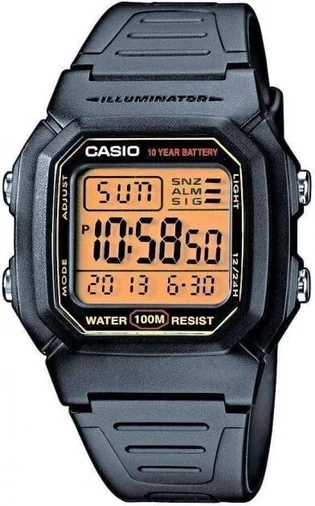 Часы мужские Casio W-800Hg-9Avef