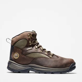 Черевики чоловічі Timberland Chocorua Waterproof Mid Hiker Boots Brown TB015130210