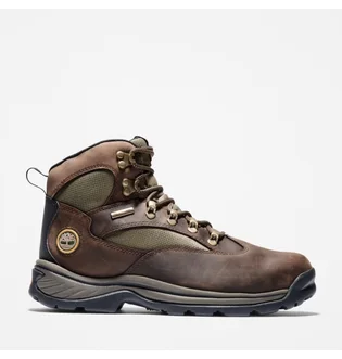 Ботинки мужские Timberland Chocorua Waterproof Mid Hiker Boots Brown TB015130210